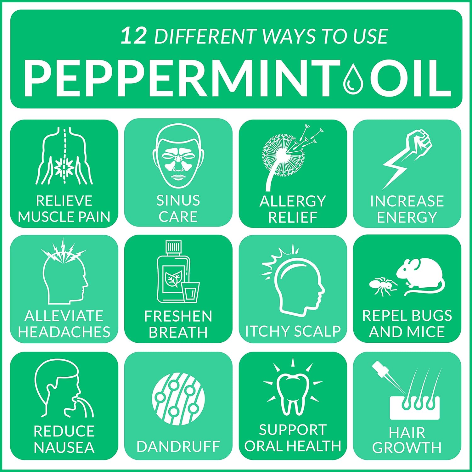 ArtNaturals 100% Essential Oil, 15mlArtNaturalsB0752ZMGN5Essential OilEssential Oil