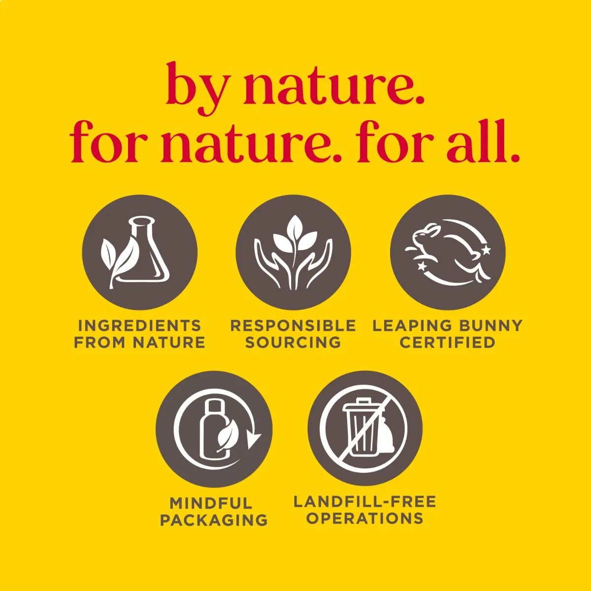 Burt's Bees Coconut and Pear Moisturizing Lip BalmBurt's Bees794437156323Lip BalmLip Balm