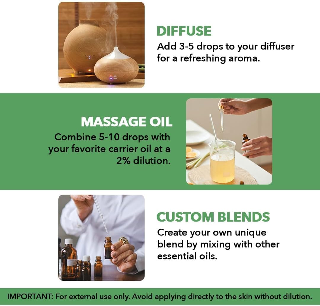 MAJESTIC PURE Lavender Essential Oil, 100% Pure and Natural Lavender Oil Diffusers, Skin, Aromatherapy, Massage - 118 mlMajestic Pure684758988836Essential Oil BlendsEssential Oil Blends