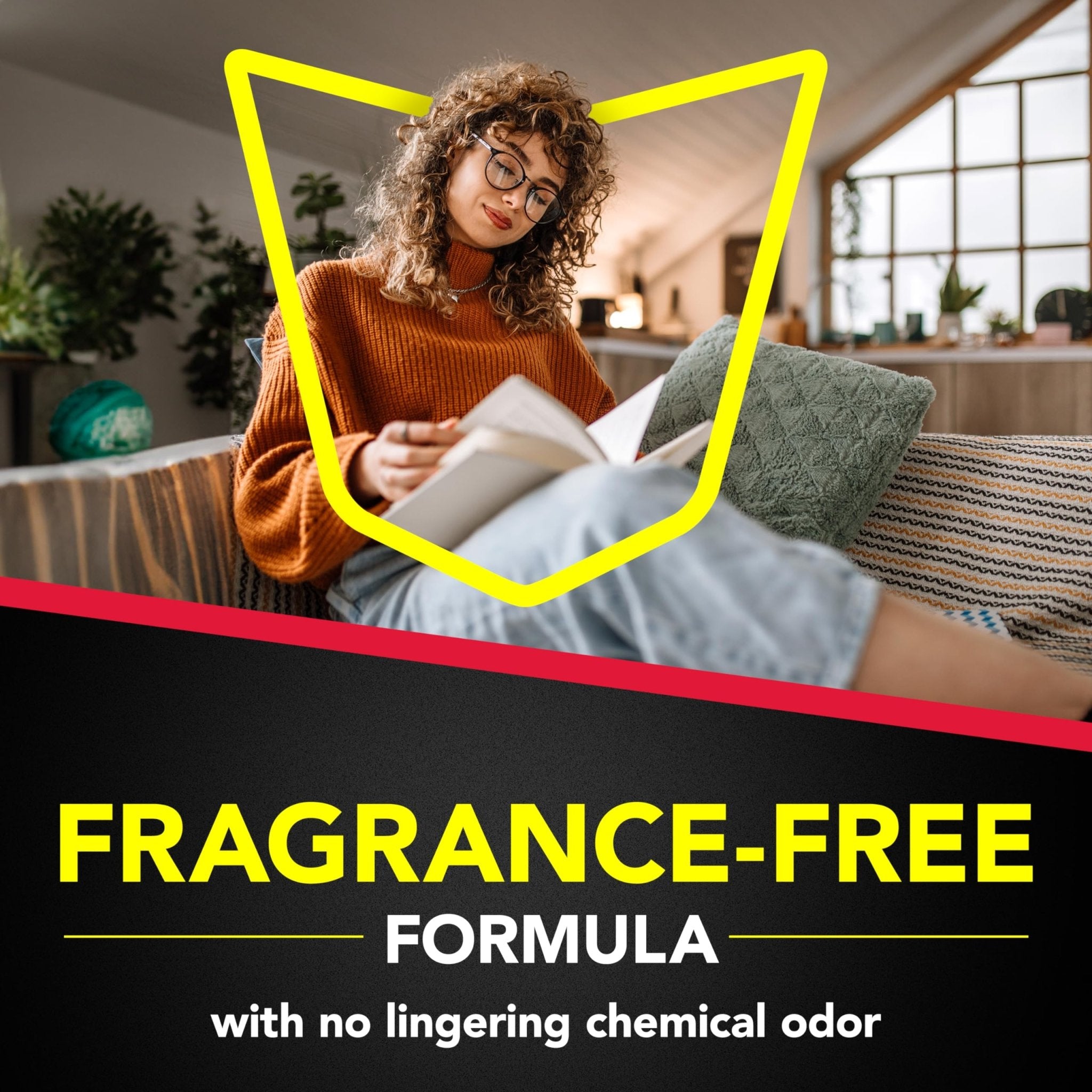 Raid Ant & Roach Aerosol Killer - Unscented, 17.5 OzRaid732233478164Insect KillerInsect Killer