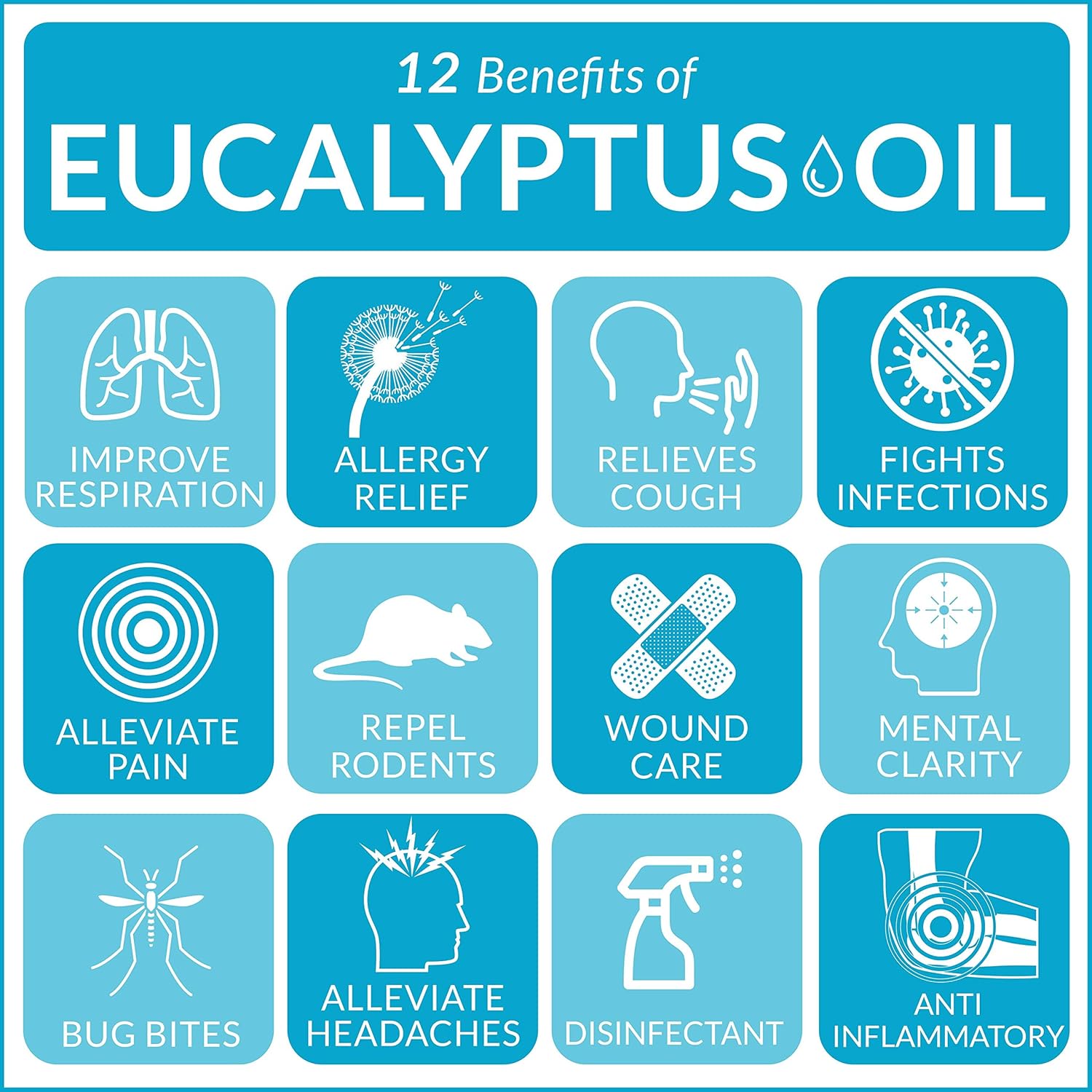 ArtNaturals 100% Essential Oil, 15mlArtNaturals816820024849Essential OilEssential Oil