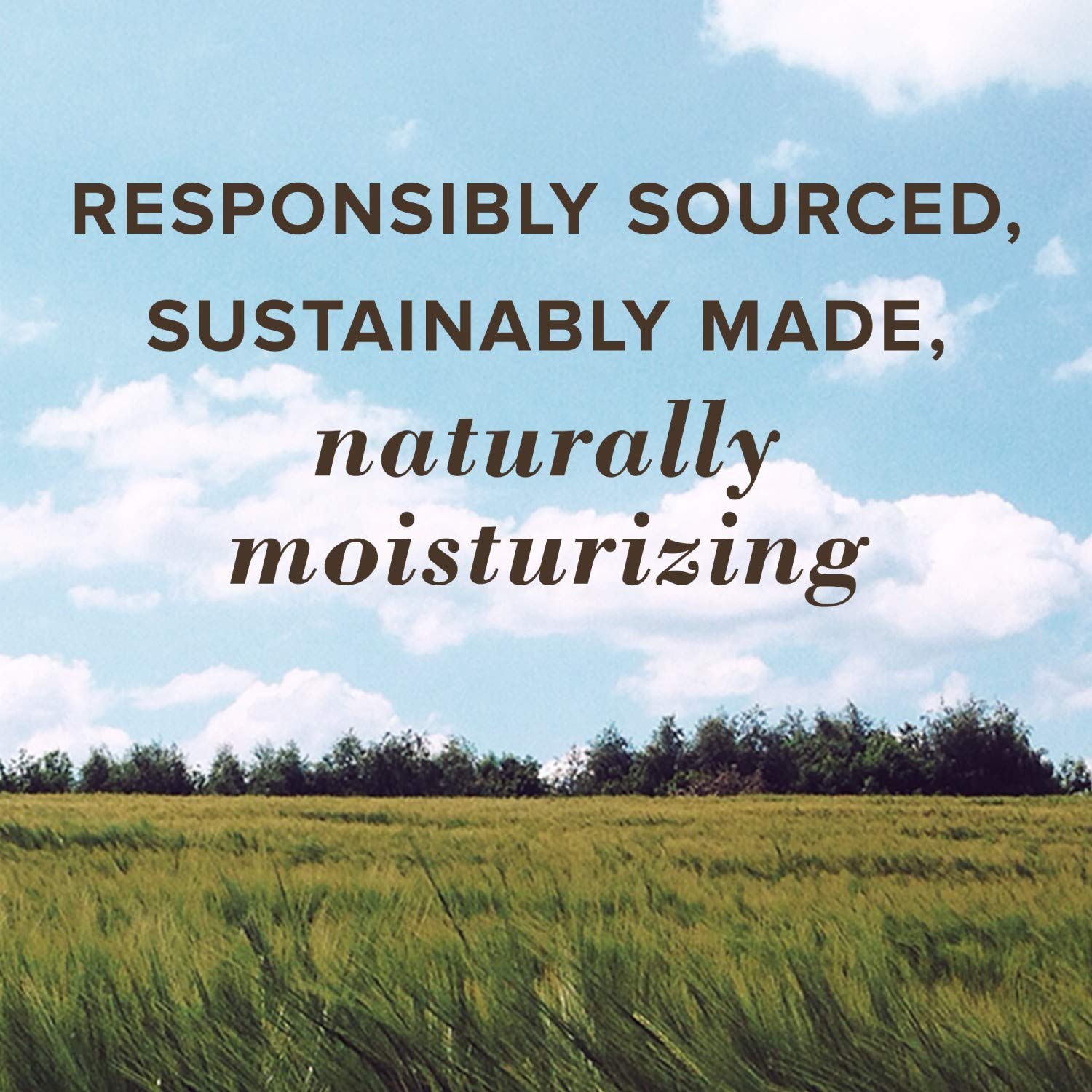 Burt's Bees Lip Balm, Moisturizing Lip Care SPF 15 for All Day Hydration, 100% Natural with Sunscreen - Coconut and Pear and MangoBurt's Bees792850025776Lip BalmLip Balm