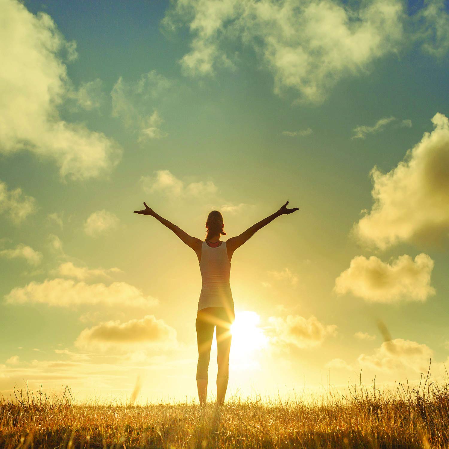 Candle Warmers Aromatherapy Scented Wax MeltCandle Warmers833245038169Scented Wax MeltScented Wax Melt