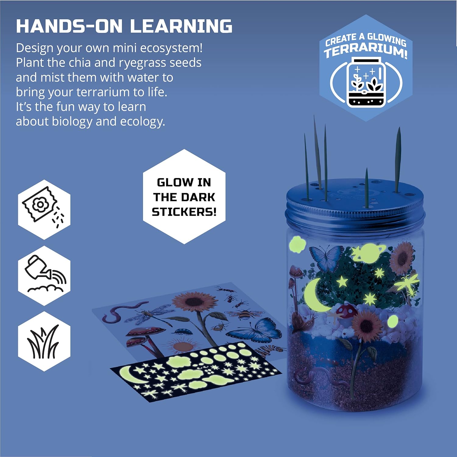 Discovery MINDBLOWN DIY Terrarium Grow Kit, Fast - Growing Indoor Mini GardenDiscovery Kids843479149050Educational ToyEducational Toy