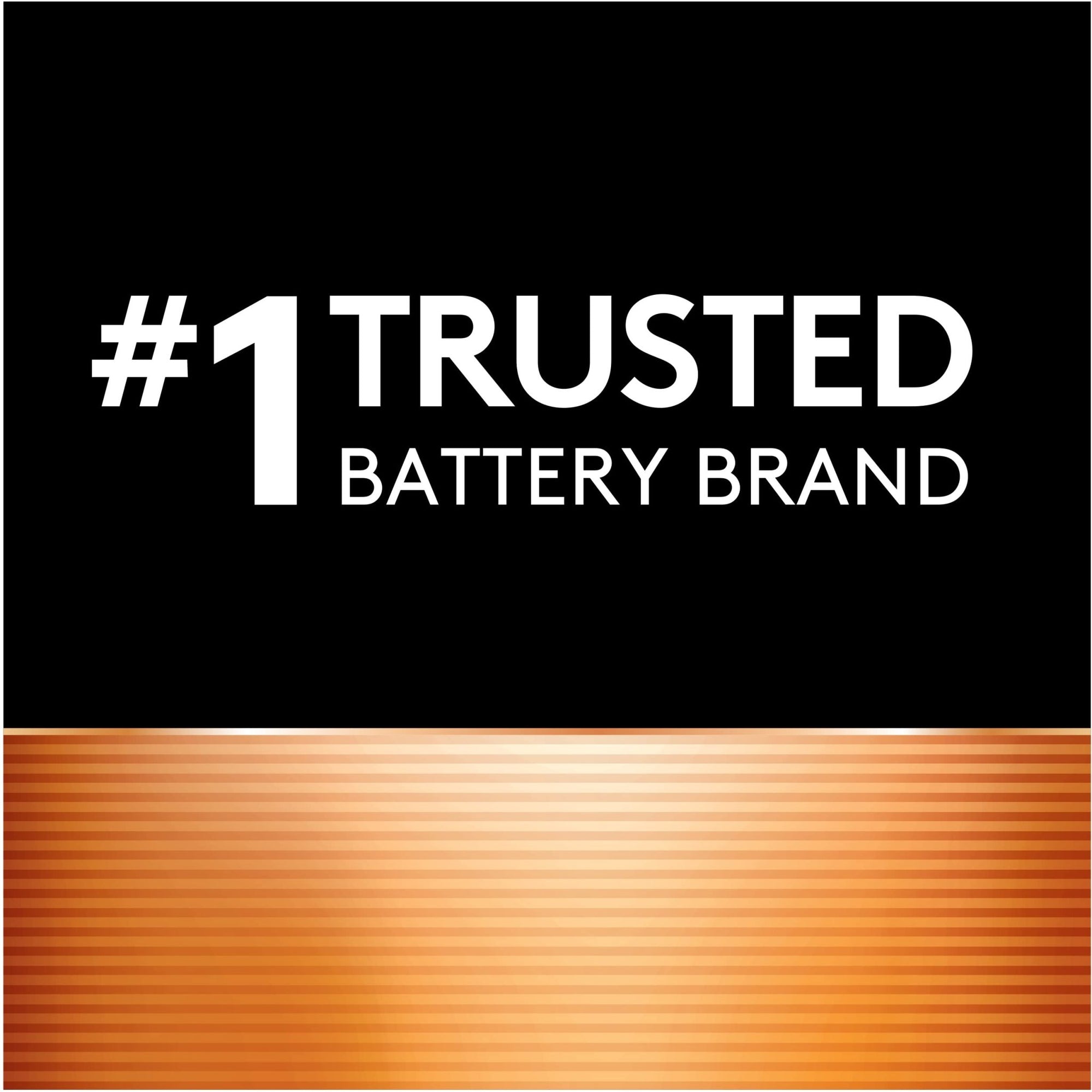Duracell Coppertop AA Batteries with Power Boost Ingredientsn - 6 Count Pack AA BatteryDuracell041333001494Disposable BatteriesDisposable Batteries