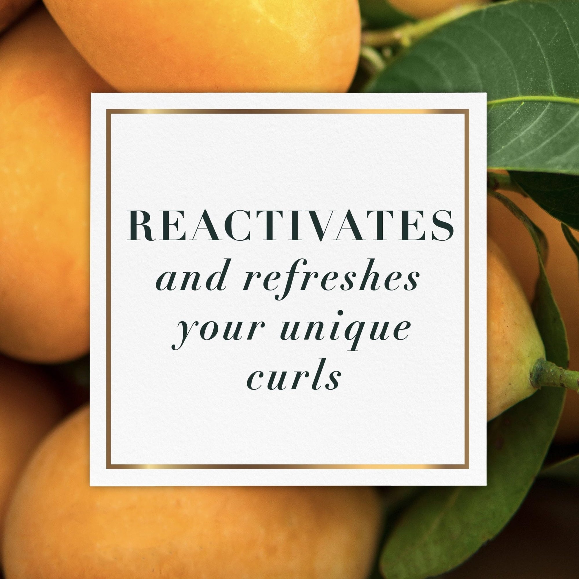 Herbal Essences bio renew Curl Refresh Mist with Mango & Aloe - 170 mlHerbal Essences190679007759Hair SprayHair Spray