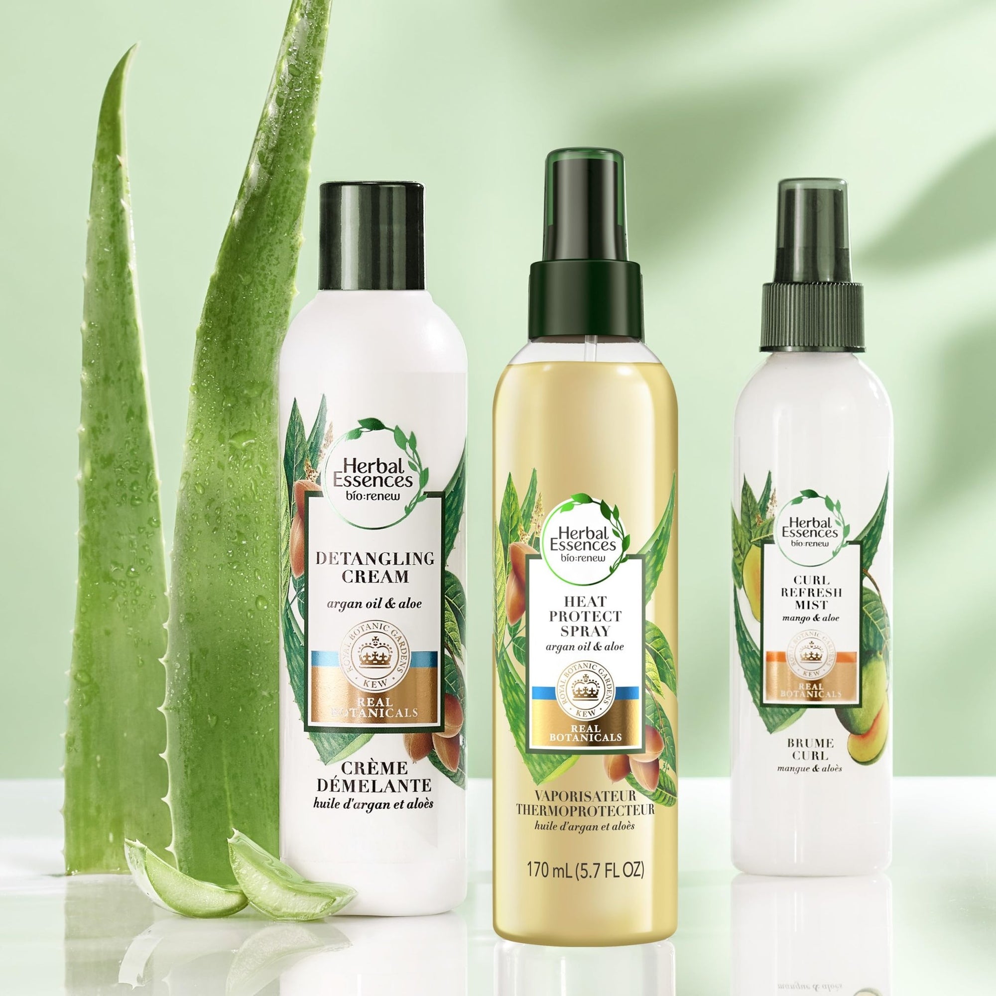 Herbal Essences bio renew Curl Refresh Mist with Mango & Aloe - 170 mlHerbal Essences190679007759Hair SprayHair Spray