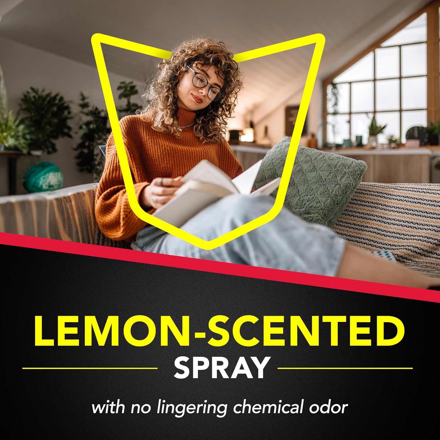 Raid Ant and Roach Aerosol Killer - Lemon Scent, 17.5 OzRaidB003V04OIAInsect KillerInsect Killer