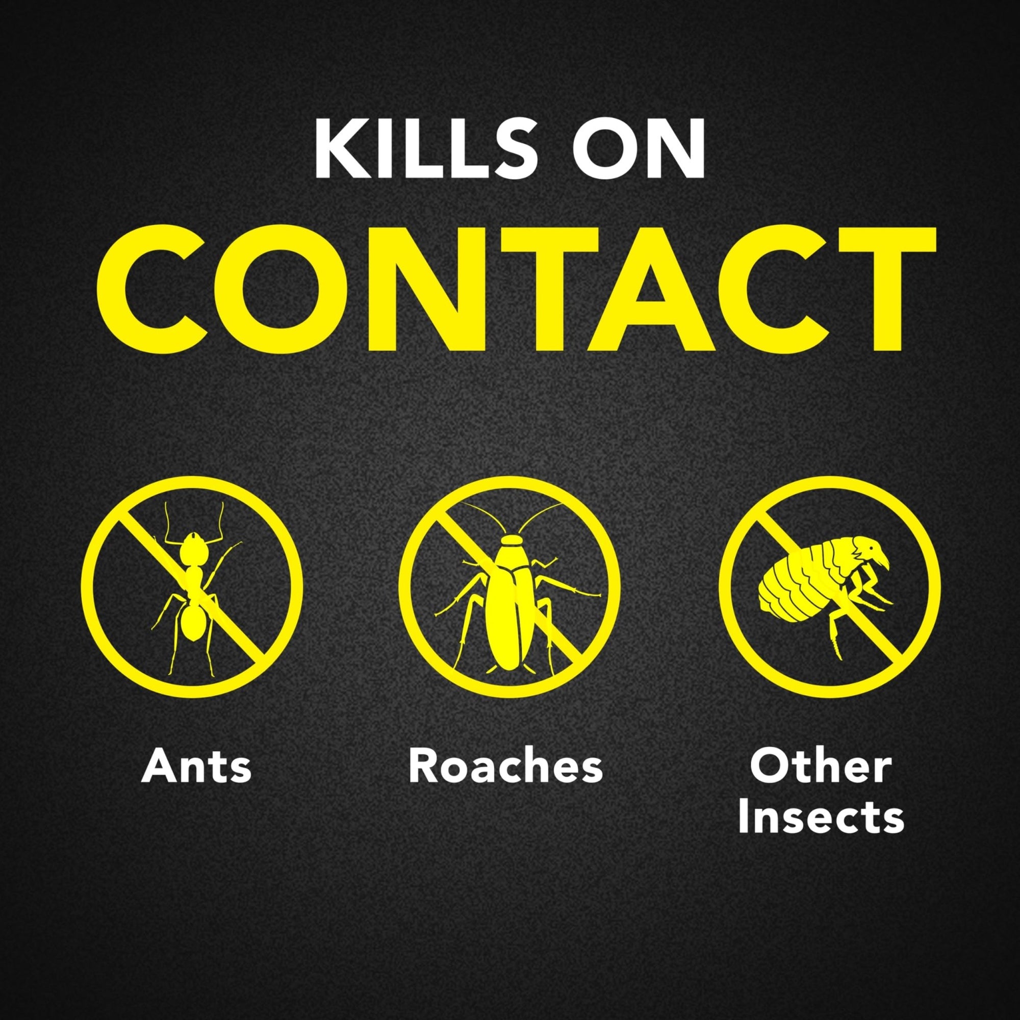 Raid Ant & Roach Aerosol Killer - Unscented, 17.5 OzRaid732233478164Insect KillerInsect Killer