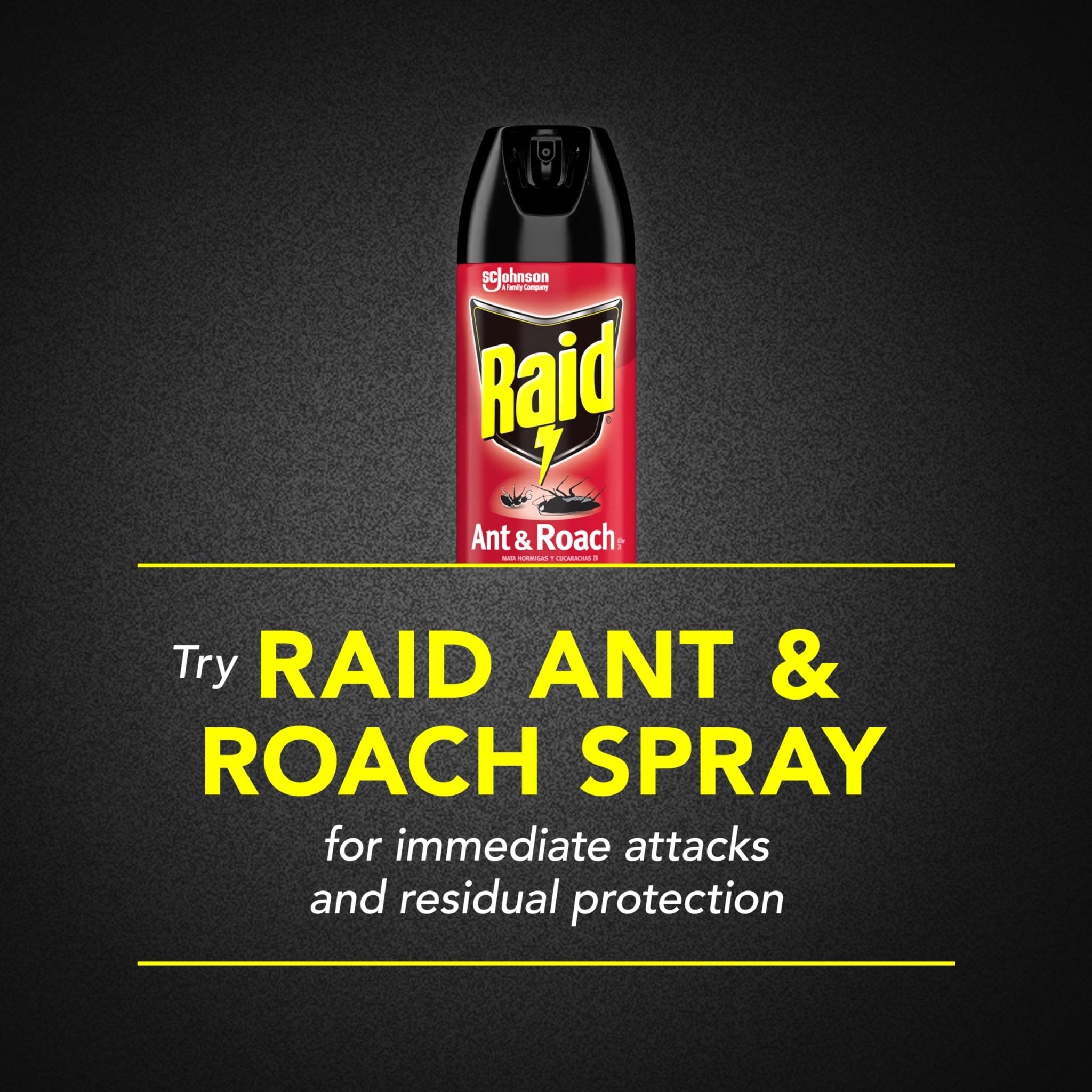 Raid Ant & Roach Aerosol Killer - Unscented, 17.5 OzRaid732233478164Insect KillerInsect Killer