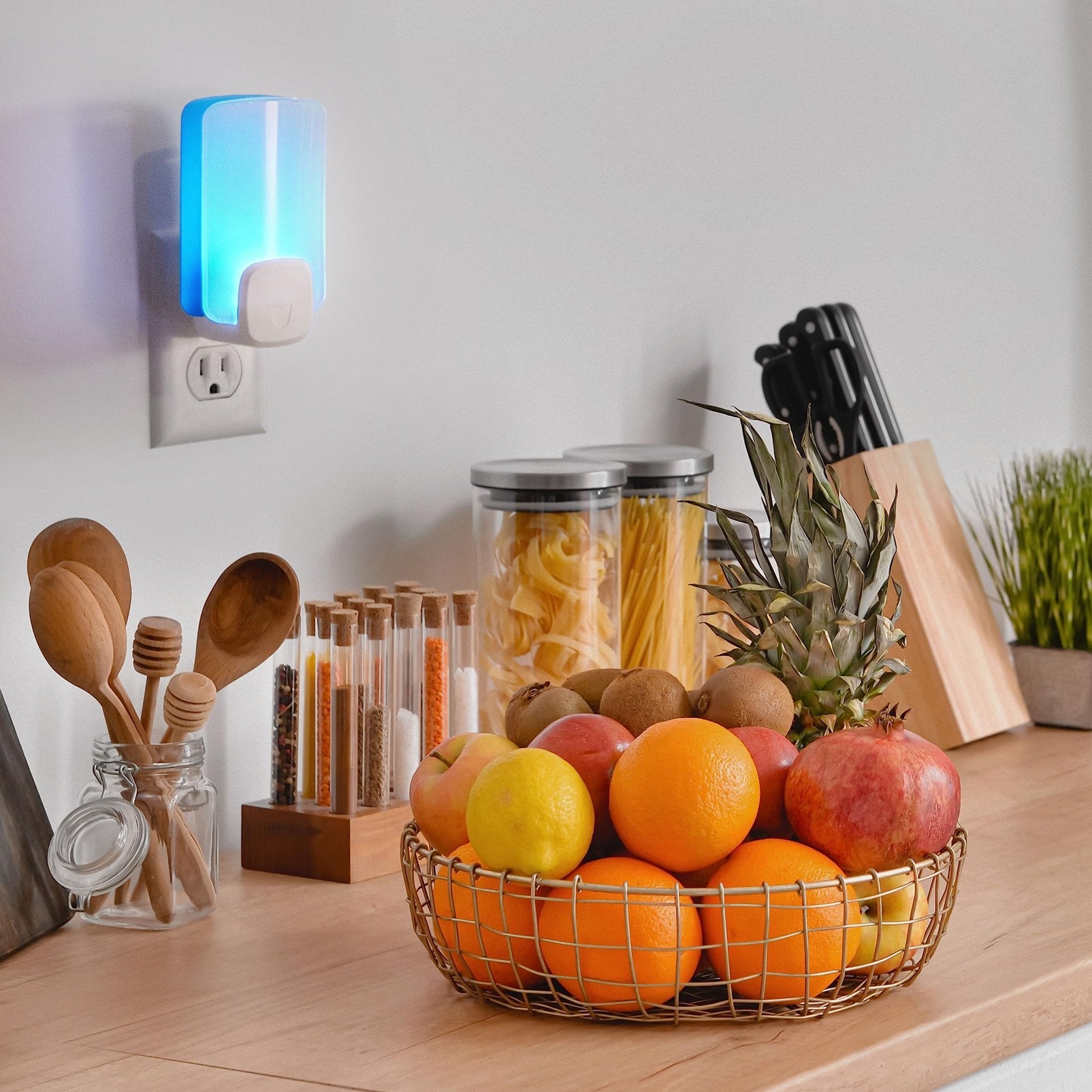 Raid Essentials Flying Insect Light Trap Refills, 2 Light Trap Refill CartridgesRaid046500032301Flying Insect Light TrapFlying Insect Light Trap