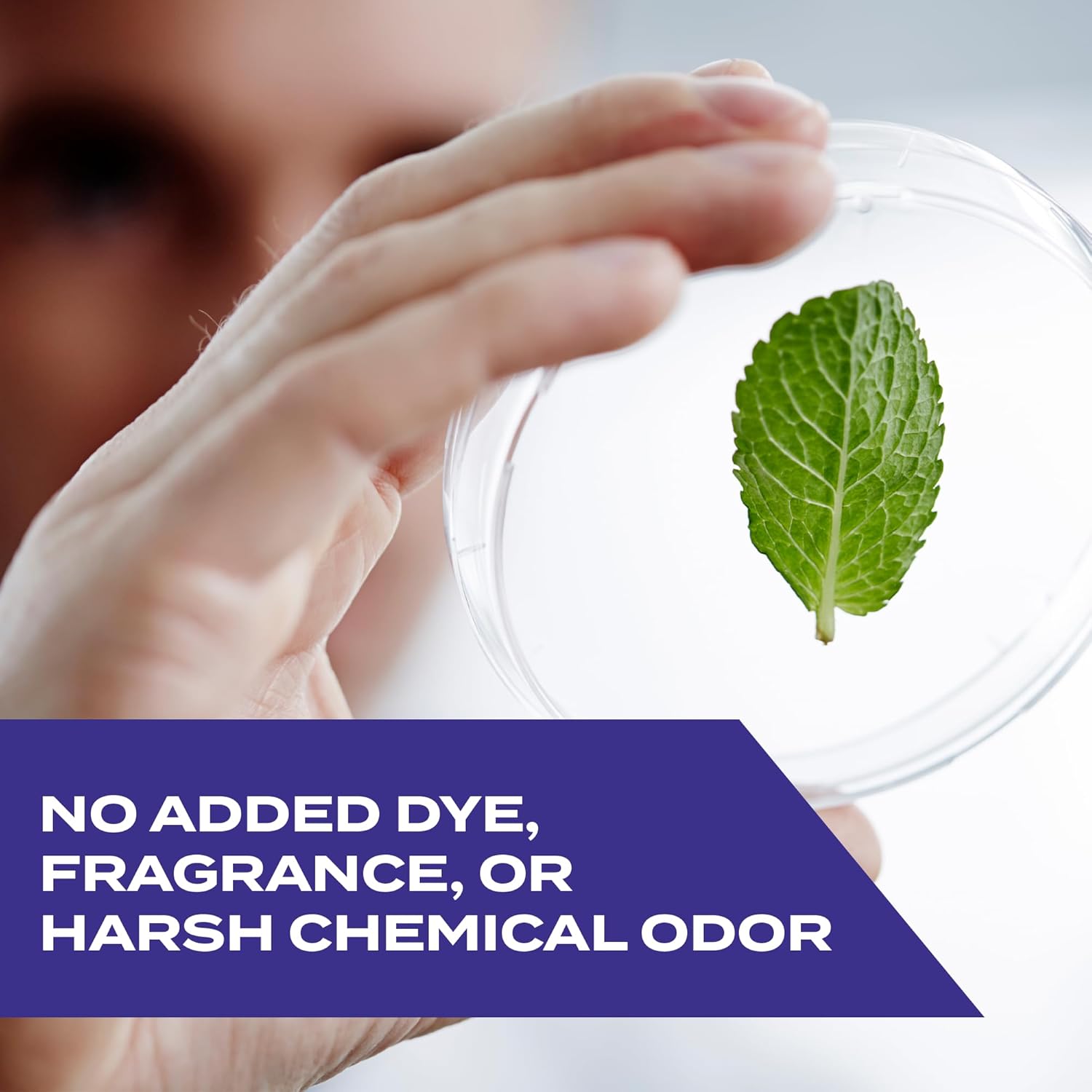 Stem Kills Ants, Roaches And Spiders, Plant - Based Active Ingredient Bug Spray - 283 gStem046500032820Bug sprayBug spray